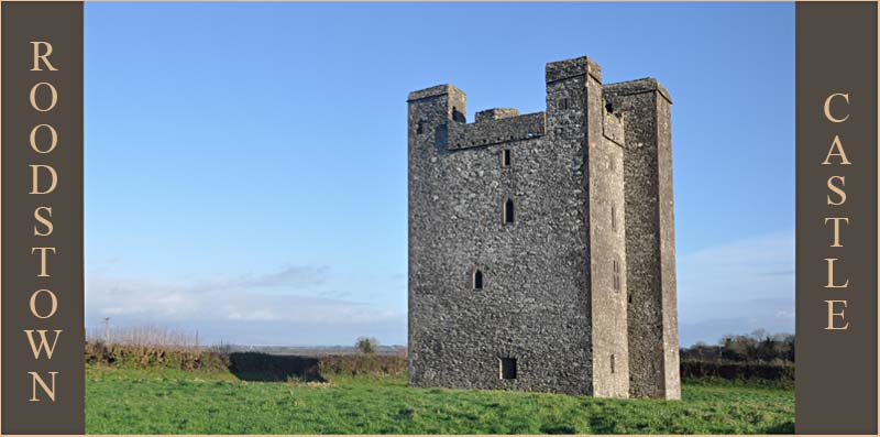 Roodstown Castle